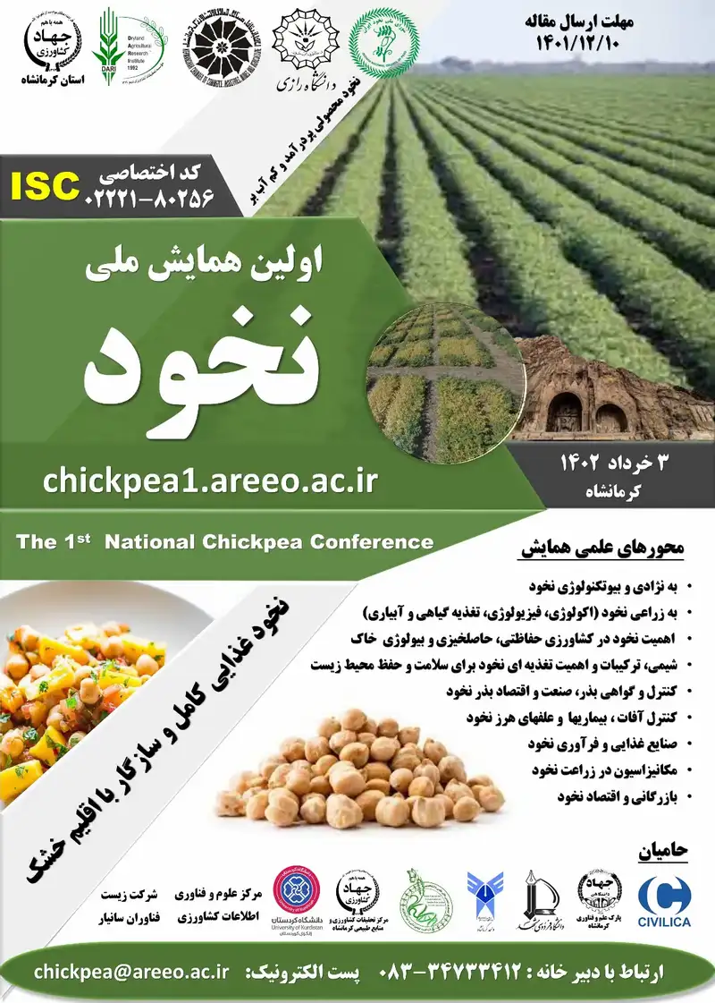 Responsive Image